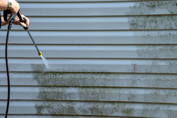 Best Stucco Siding  in , MI